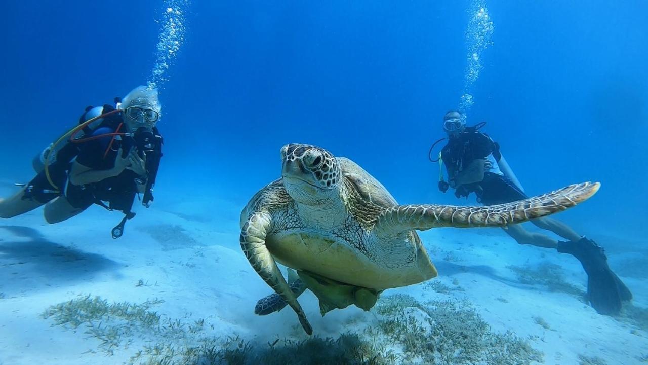 Deep Ashri Apartment And Diving Center Marsa Alam Luaran gambar