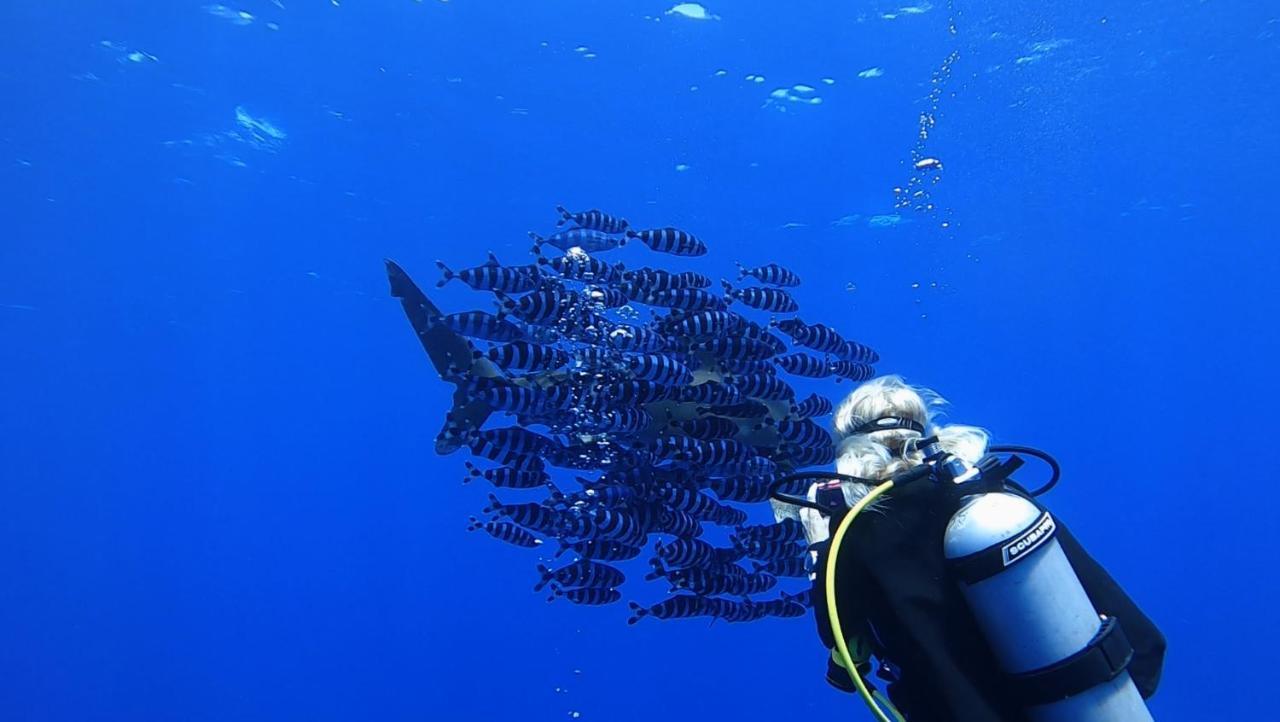 Deep Ashri Apartment And Diving Center Marsa Alam Luaran gambar