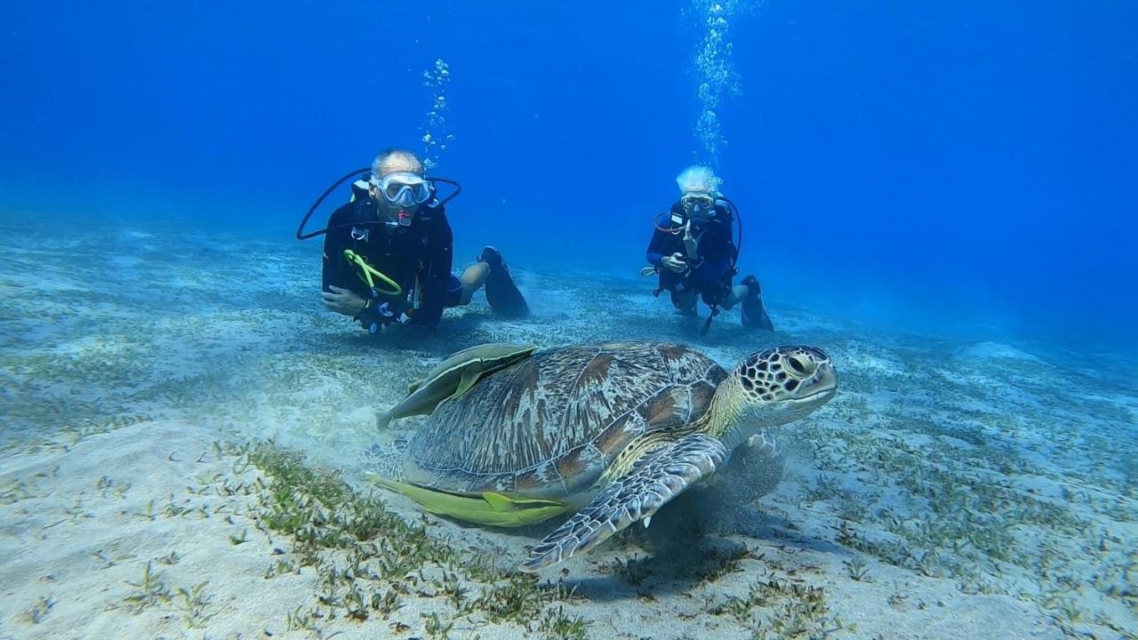 Deep Ashri Apartment And Diving Center Marsa Alam Luaran gambar