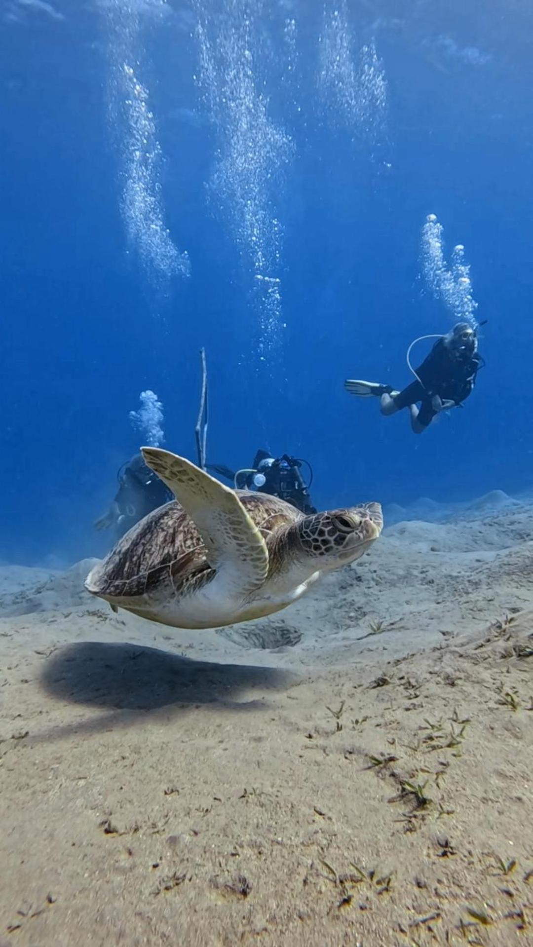 Deep Ashri Apartment And Diving Center Marsa Alam Luaran gambar